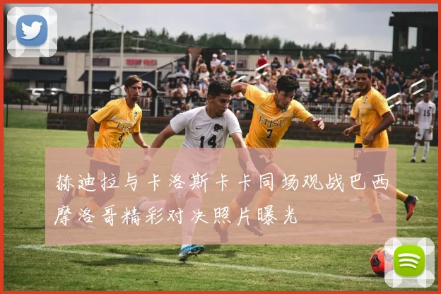 赫迪拉与卡洛斯卡卡同场观战巴西摩洛哥精彩对决照片曝光